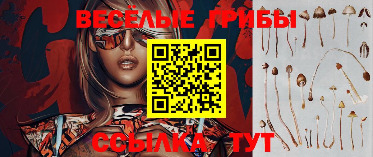 Липецк  Галлюциногенные грибы Psilocybine cubensis  Вход с VPN 